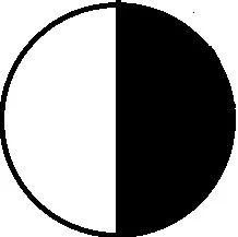 Adjustable Top with Mesh – GLORY – Black - Screenshot 47 kopiya jpg